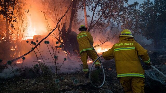 В Израиле до плюс 50, бушуют лесные пожары: фотогалерея