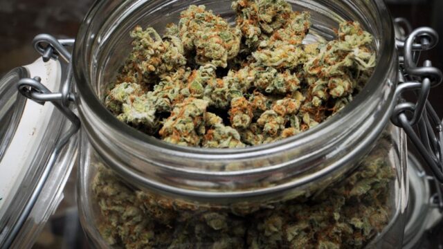 Сенат Канады проголосовал за легализацию марихуаны