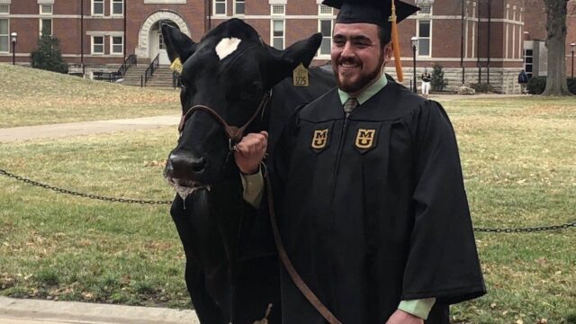 Студент привез корову в кампус Университета Миссури, чтобы сделать с ней выпускные фотографии