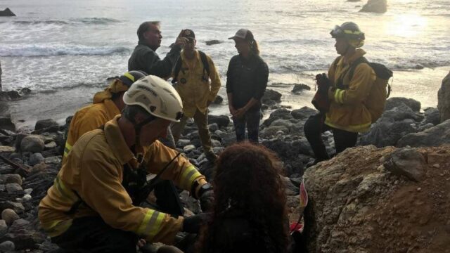 Американку нашли живой через неделю после того, как ее машина упала со скалы в Калифорнии