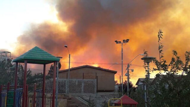 В чилийском городе объявили массовую эвакуацию из-за лесного пожара