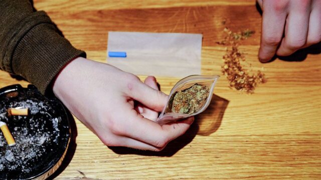 В Нидерландах проведут эксперимент по поставке легальной марихуаны в кофешопы