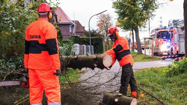 В Германии бушуют осенние циклоны. Фотогалерея
