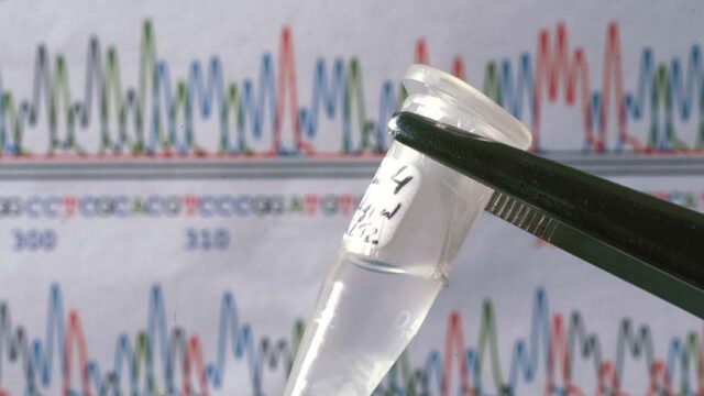 Ученые впервые расшифровали полный геном человека. Какую пользу это принесет