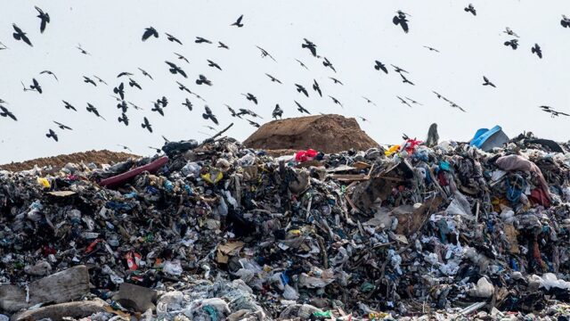 Свалка больше, чем жизнь. Как спастись от мусорной катастрофы?