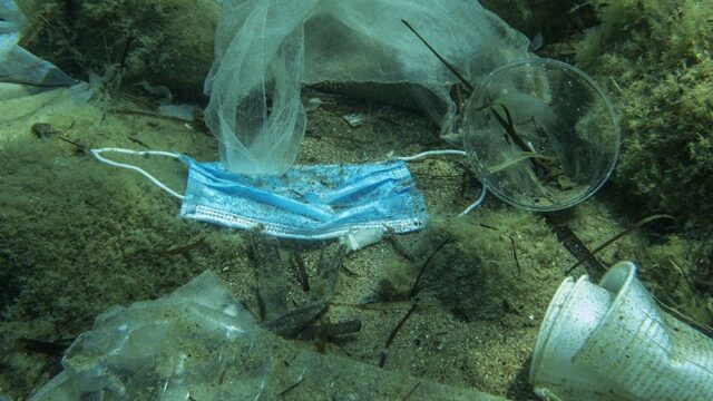Ученые посчитали, что на морском дне лежит 14 млн тонн микропластика