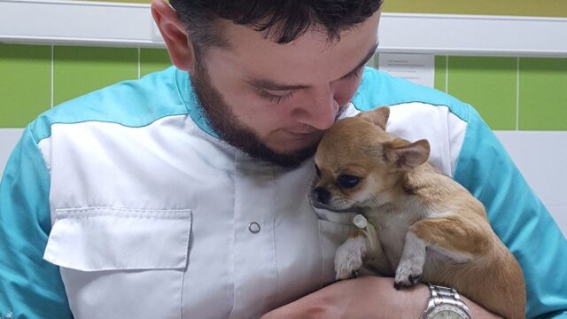 «Отказников приносят раз в месяц». Ветеринар из Челябинска, на которого пожаловались в прокуратуру, — о том, почему спасает животных от усыпления