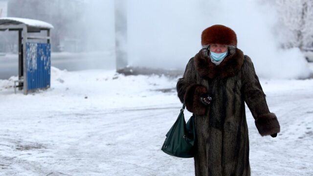В России впервые с ноября выявили меньше 20 тысяч заражений коронавирусом