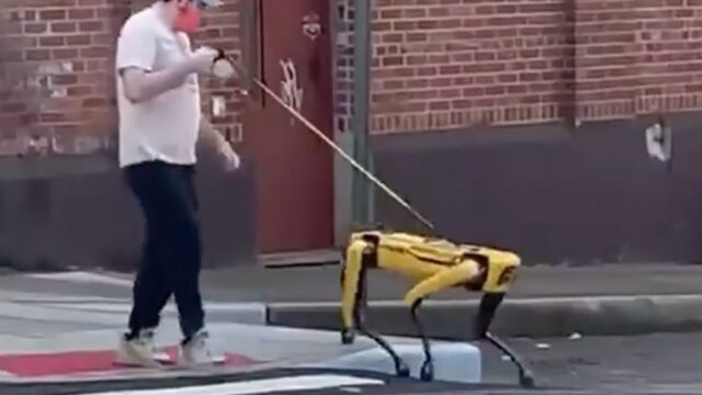 Робот Boston Dynamics прогулялся на поводке по парку в Нью-Йорке
