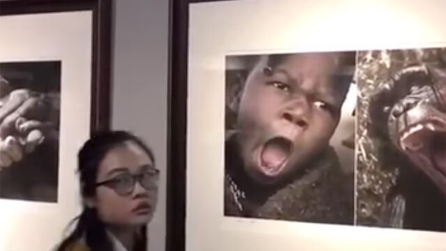 Китайский музей закрыл выставку, на которой африканцев сравнивали с животными