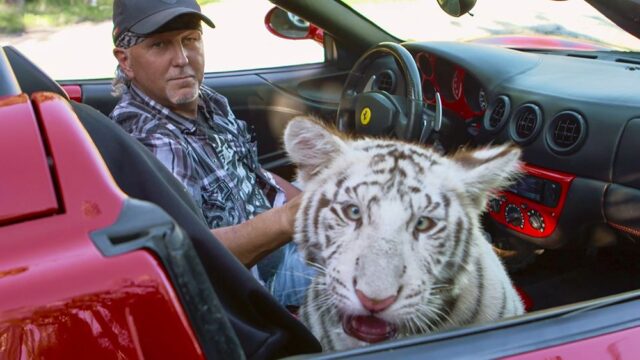 Минюст США подал иск о жестоком обращении с животными к дрессировщику из сериала «Король тигров»
