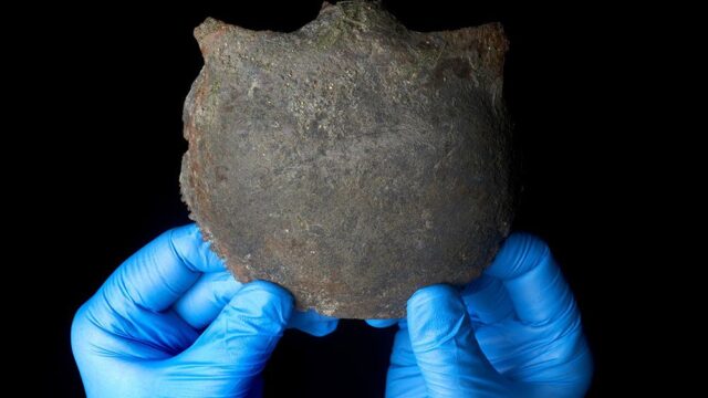 На дне реки Темзы нашли фрагмент черепа мужчины, возраст которого больше пяти тысяч лет