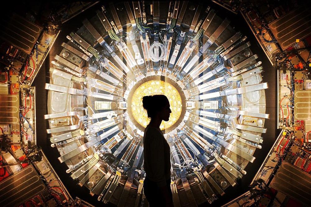 Лаборатория ЦЕРН отстранила от работы профессора, который сказал, что физику придумали мужчины