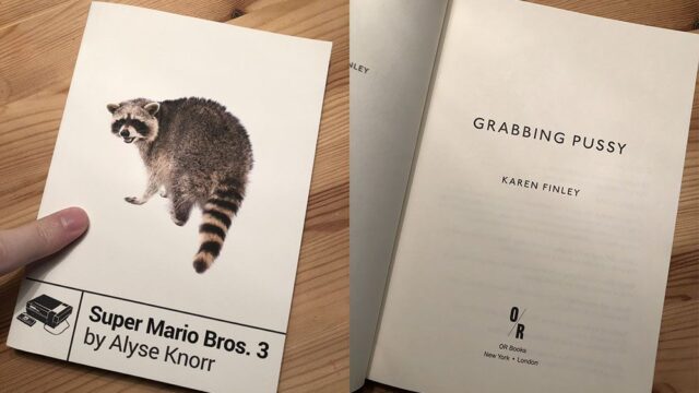 В США при печати перепутали обложки сборника непристойной поэзии и книги об игре про братьев Марио