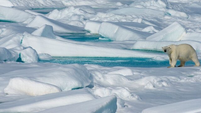 «Средиземноморье не получится». Климатолог — о температурном рекорде в Арктике