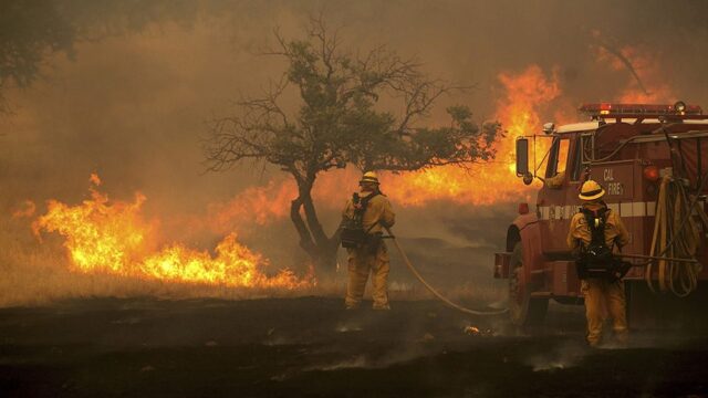 В Калифорнии при лесных пожарах погибли восемь человек