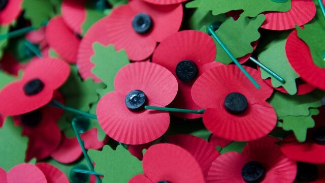 В Британии впервые красный мак станут использовать в память гражданских жертв военных конфликтов