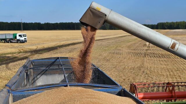 Украина запретила ввоз пшеницы, бумаги и масла из России
