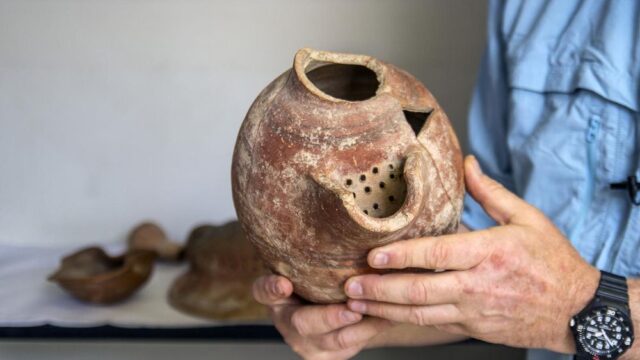В Израиле сварили пиво из дрожжей, которым 5000 лет