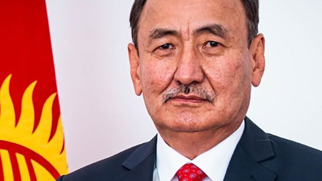 В Киргизии требуют уволить главу Минздрава за лечение коронавируса корешками