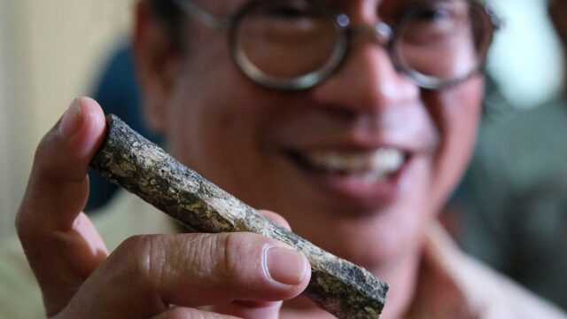 На Филиппинах нашли останки людей неизвестного вида