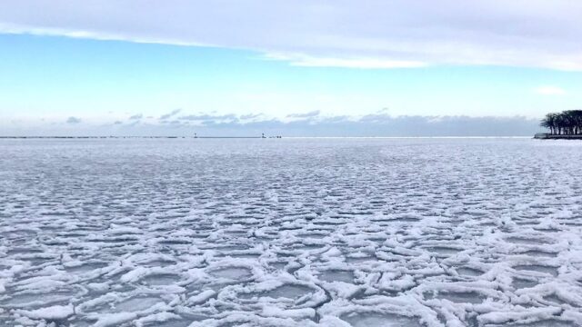 Озеро Мичиган в Чикаго покрылось странными «ледяными блинами»