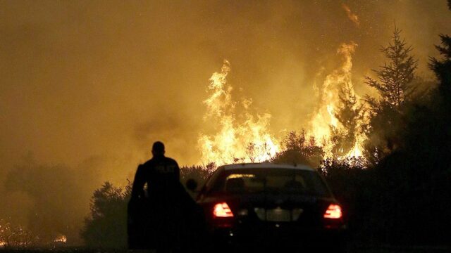 В Калифорнии из-за лесных пожаров эвакуировали тысячу домов