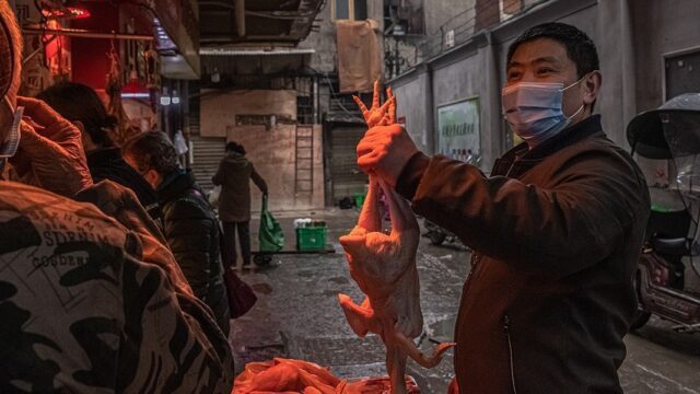 Bloomberg: COVID-19 связан с торговлей животными в Китае