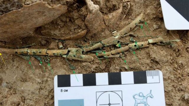 На Таманском полуострове археологи нашли древнегреческие музыкальные инструменты