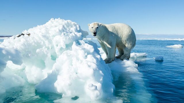 Площадь льда в Северном Ледовитом океане уменьшилась до рекордного за 8 лет значения