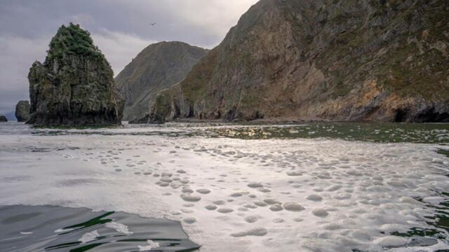 В одной из рек Камчатки заметили необычные отложения и изменение цвета воды