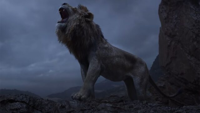 Продолжение «Короля льва» снимет режиссер драмы «Лунный свет» — победителя «Оскара»-2017