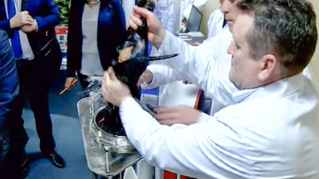 Дмитрий Рогозин показал президенту Сербии таксу, которая «дышит под водой»