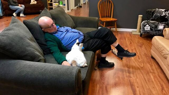 В Висконсине пенсионер пришел работать в кошачий приют и стал интернет-знаменитостью