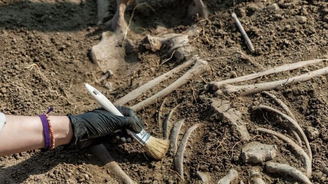Ученые нашли древнейшее человеческое захоронение в Африке