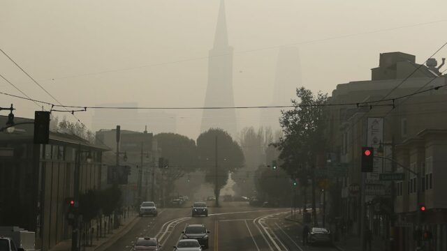 В Сан-Франциско закрыли школы из-за дыма от лесных пожаров