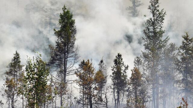 Дым не дает использовать авиацию для тушения пожаров в Якутии