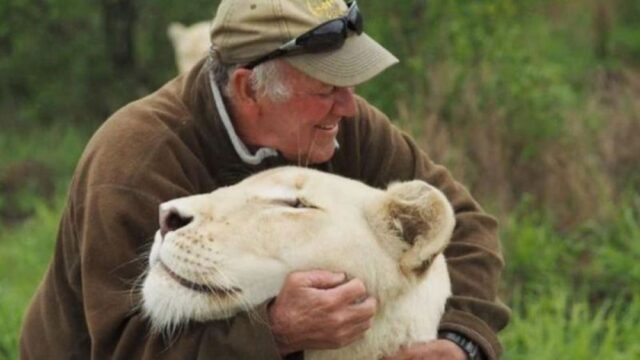 Защитник природы из ЮАР умер после нападения львиц