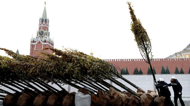 Какие деревья растут в Москве и как озеленяют столицу