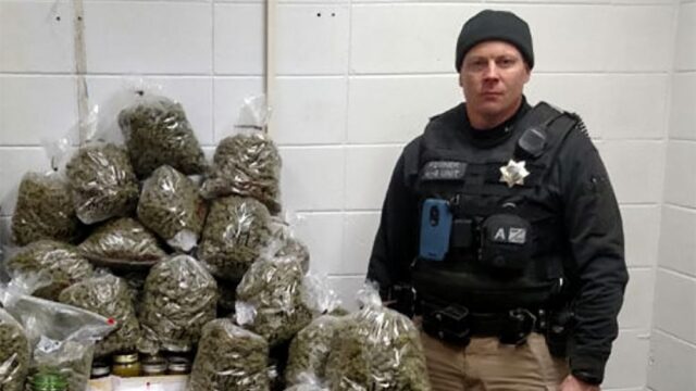 В США пожилую пару арестовали с 30 кг марихуаны для «рождественских подарков»