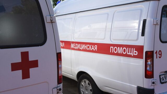 В Новгородской области парализованную пенсионерку пришлось нести восемь километров на носилках до «скорой помощи»