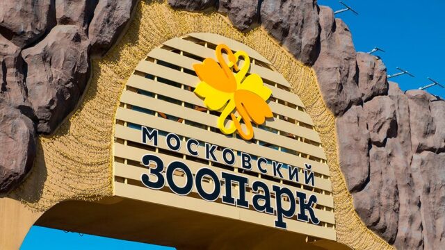 Московский зоопарк откроет хоспис для домашних животных
