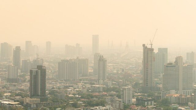 ВОЗ: качество воздуха в мире стремительно ухудшается