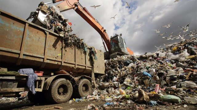 Россия катастрофически не справляется с мусором — на каждого приходится 450 кг