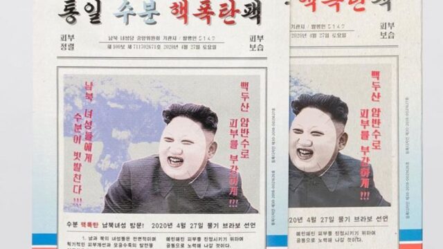 В Южной Корее стали популярны «увлажняющие маски Ким Чен Ына»