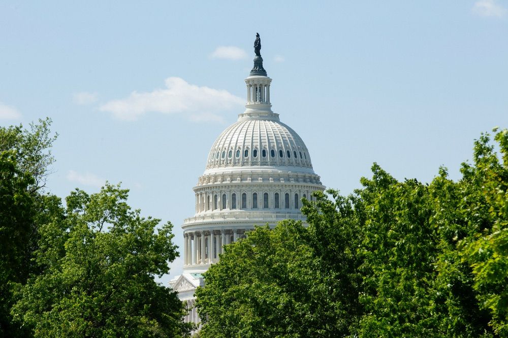 Палата представителей США одобрила удаленное голосование во время пандемии