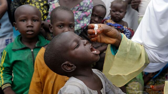 ВОЗ объявила Африку свободной от дикого полиовируса