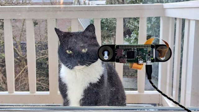 В Нидерландах инженер установил на балконе систему распознавания, чтобы пускать домой своего кота