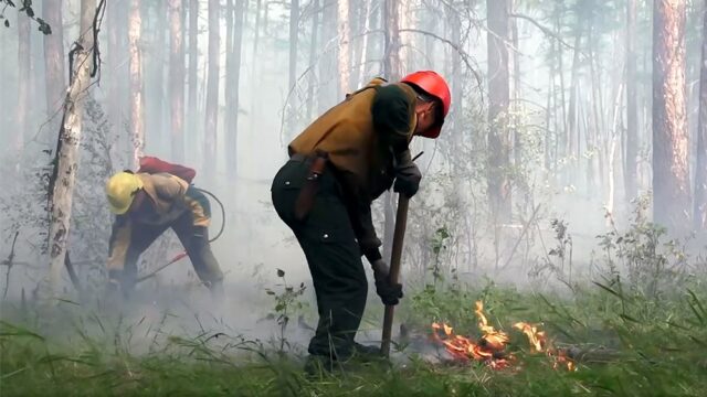 СК России завел дело о халатности в связи с пожарами в Красноярском крае