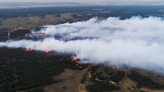 «Гринпис»: лесные пожары в России стали в 2021 году рекордными с начала века